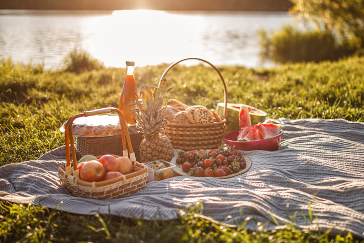 Picknick Lindau und Umgebung